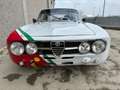 Alfa Romeo GTV GTAm Corsa Biały - thumbnail 9