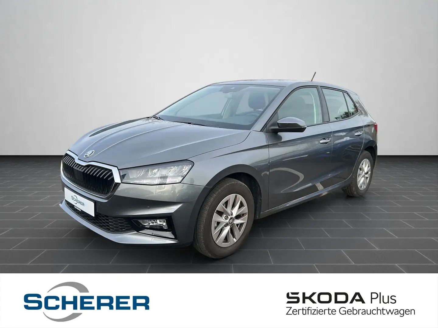 Skoda Fabia Selection 1.0 TSI SHZ ALU KAMERA PDC Grau - 1