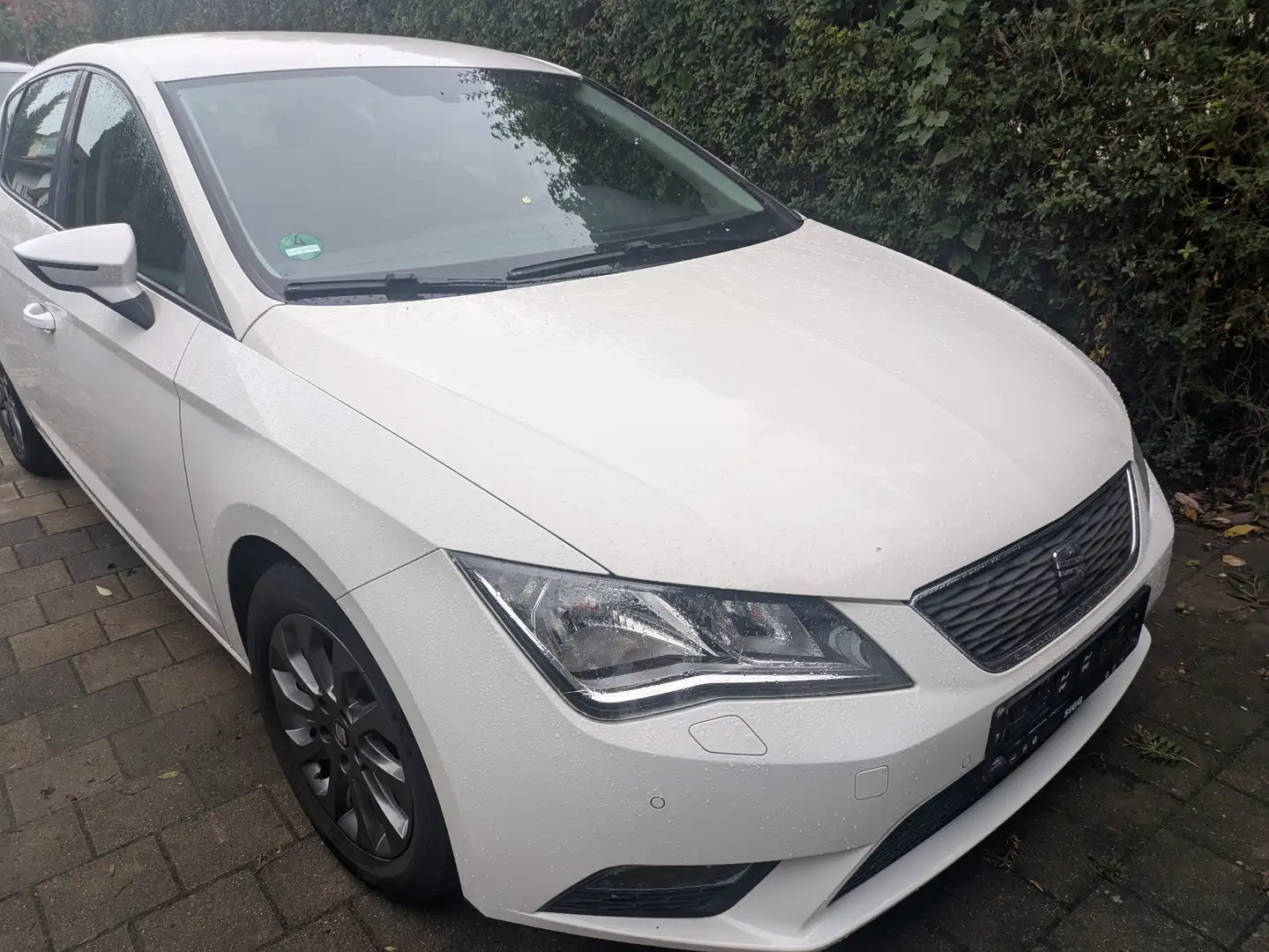 SEAT Leon 1.6 TDI ECOMOTIVE Style - 1