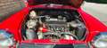 Innocenti Mini Cooper 1300 Export Rot - thumbnail 14