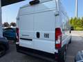 Fiat Ducato 35 MH2 2.2 mjt3 140cv Wit - thumbnail 11