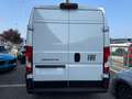Fiat Ducato 35 MH2 2.2 mjt3 140cv Wit - thumbnail 3