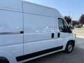 Fiat Ducato 35 MH2 2.2 mjt3 140cv Wit - thumbnail 12
