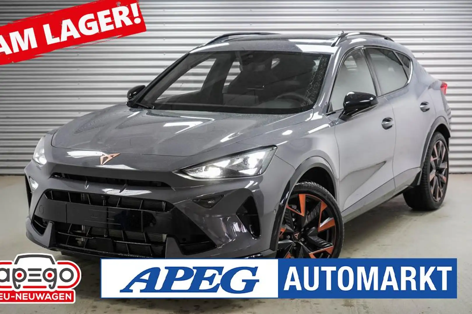 CUPRA Formentor 2,0 TSI DSG 4x4 VZ Grau - 1