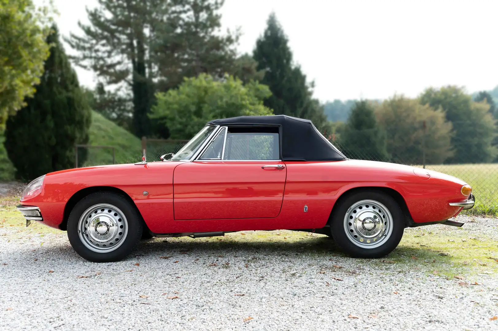 Alfa Romeo Spider OSSO DI SEPPIA Rosso - 1