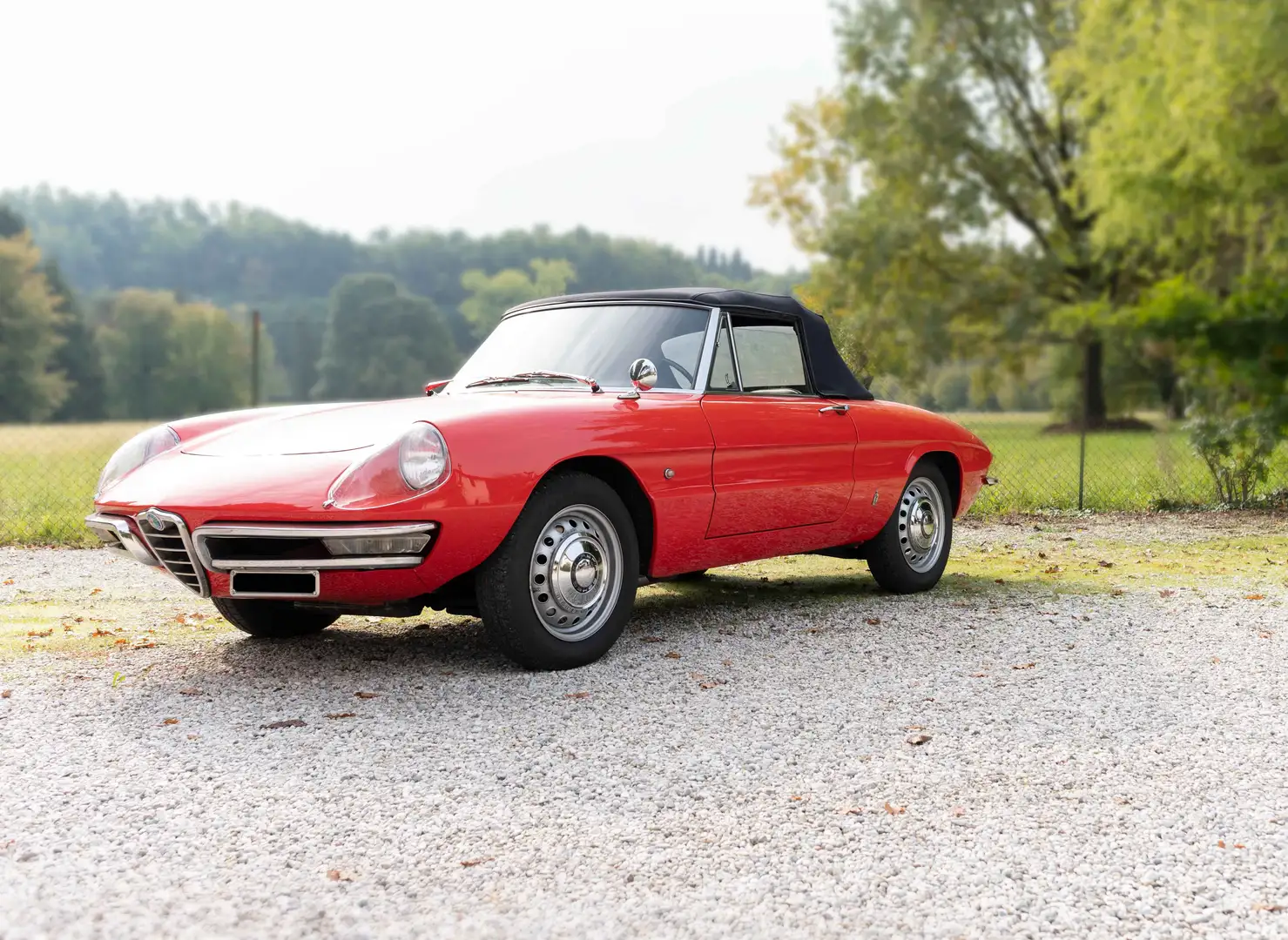 Alfa Romeo Spider OSSO DI SEPPIA Rosso - 2