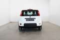 Fiat Panda 1.0 Gse Hybrid Blanc - thumbnail 10