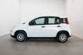 Fiat Panda 1.0 Gse Hybrid Blanco - thumbnail 8