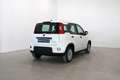 Fiat Panda 1.0 Gse Hybrid Blanc - thumbnail 9