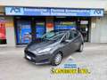 Ford Fiesta Fiesta VI 2013 5p 1.5 tdci Business 75cv E6 Grigio - thumbnail 1
