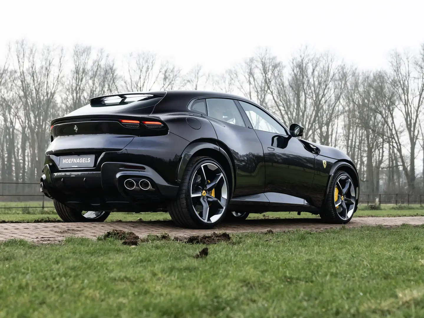 Ferrari Purosangue 6.5 V12 Nero Purosanque, Cuoio interior, Full Carb Noir - 2