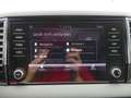Skoda Karoq 1.5 TSI AHK Kamera ACC LED DAB Keyless-Go Blau - thumbnail 12