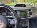 Volkswagen Beetle Beetle Cabrio 1,4 TSI Sport Sport Grau - thumbnail 6