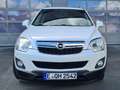 Opel Antara Antara Diesel 2.2 CDTI Aut. Design Edition Wit - thumbnail 6