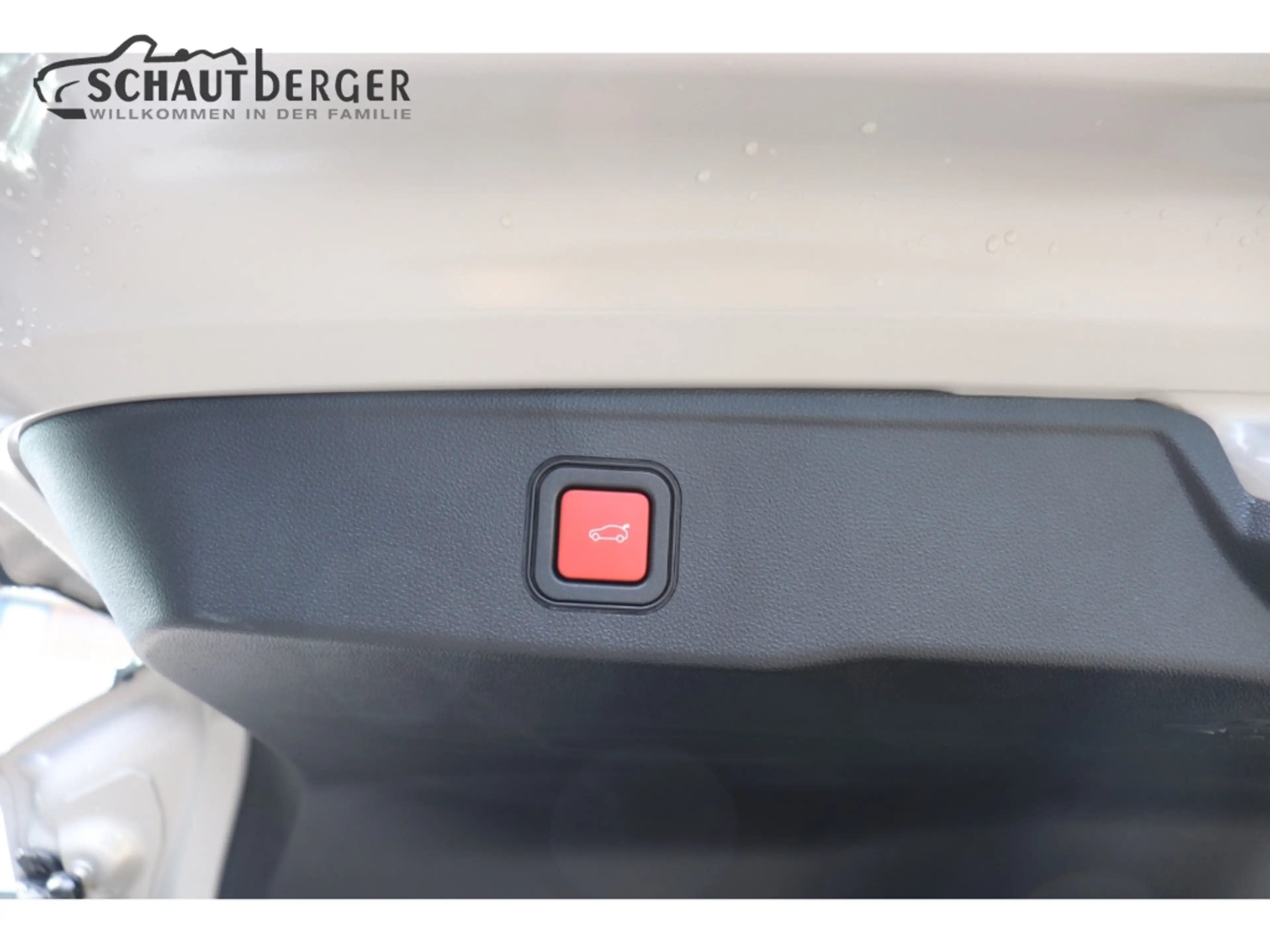 Jeep Avenger Summit Mild-Hybrid inkl. R-Kamera, Navi, LMF, PDC — photo 9