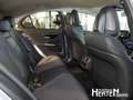 Mercedes-Benz C 200 +AVANTGARDE+AHK+LED+R-KAMERA+WINTER-P+DAB Grau - thumbnail 17