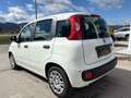 Fiat Panda 4x2 FireFly Hybrid 70 Pandina Vorlauf Weiß - thumbnail 6