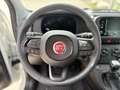 Fiat Panda 4x2 FireFly Hybrid 70 Pandina Vorlauf Weiß - thumbnail 12
