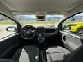 Fiat Panda 4x2 FireFly Hybrid 70 Pandina Vorlauf Weiß - thumbnail 9