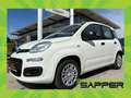 Fiat Panda 4x2 FireFly Hybrid 70 Pandina Vorlauf Weiß - thumbnail 1