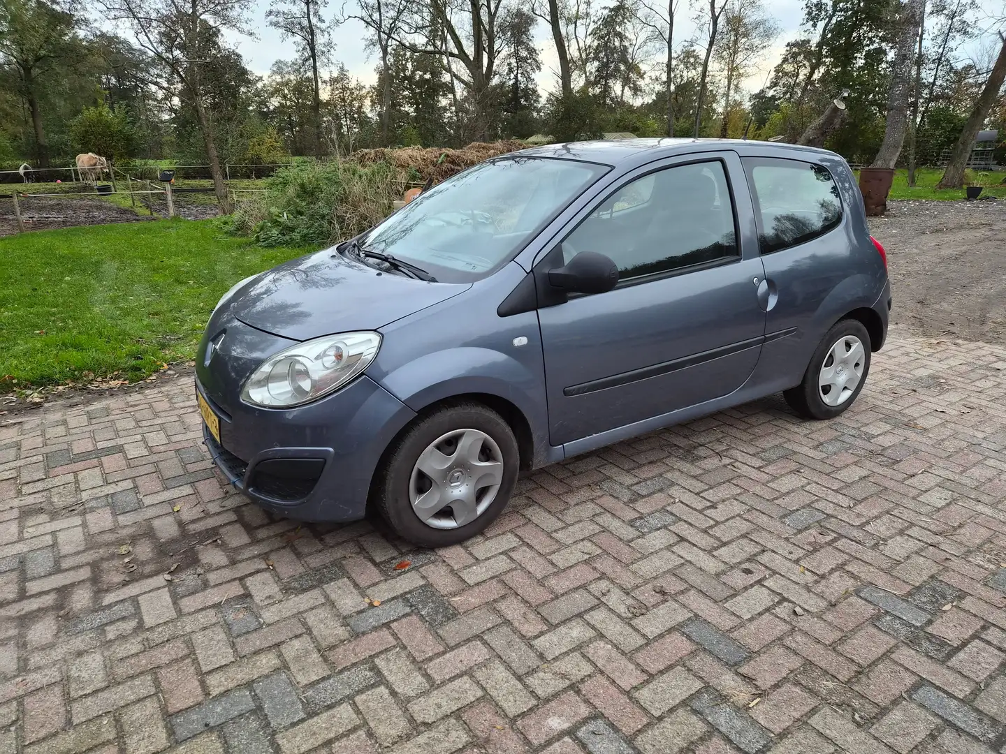 Renault Twingo Twingo 1.2 Authentique 14-11-2026 apk Grijs - 1