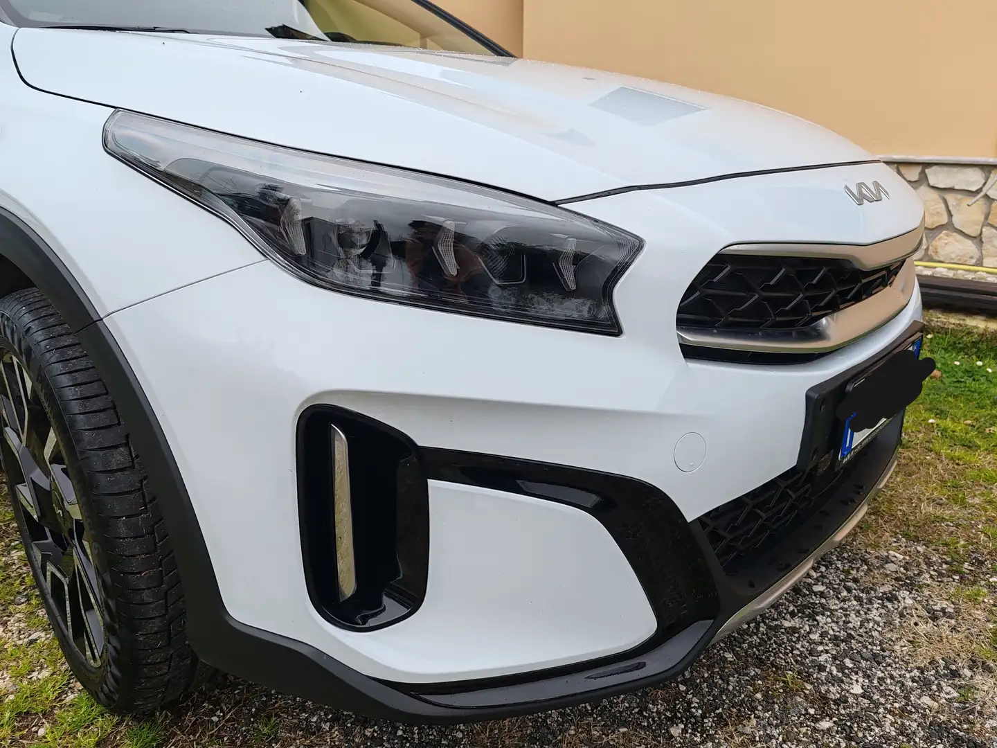 Kia XCeed XCeed+1.0+tgdi+Gpl+Business+117cv+mt Alb - 2