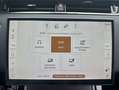 Land Rover Range Rover Evoque D200 Dynamic SE Pano, Black Pac Grau - thumbnail 23