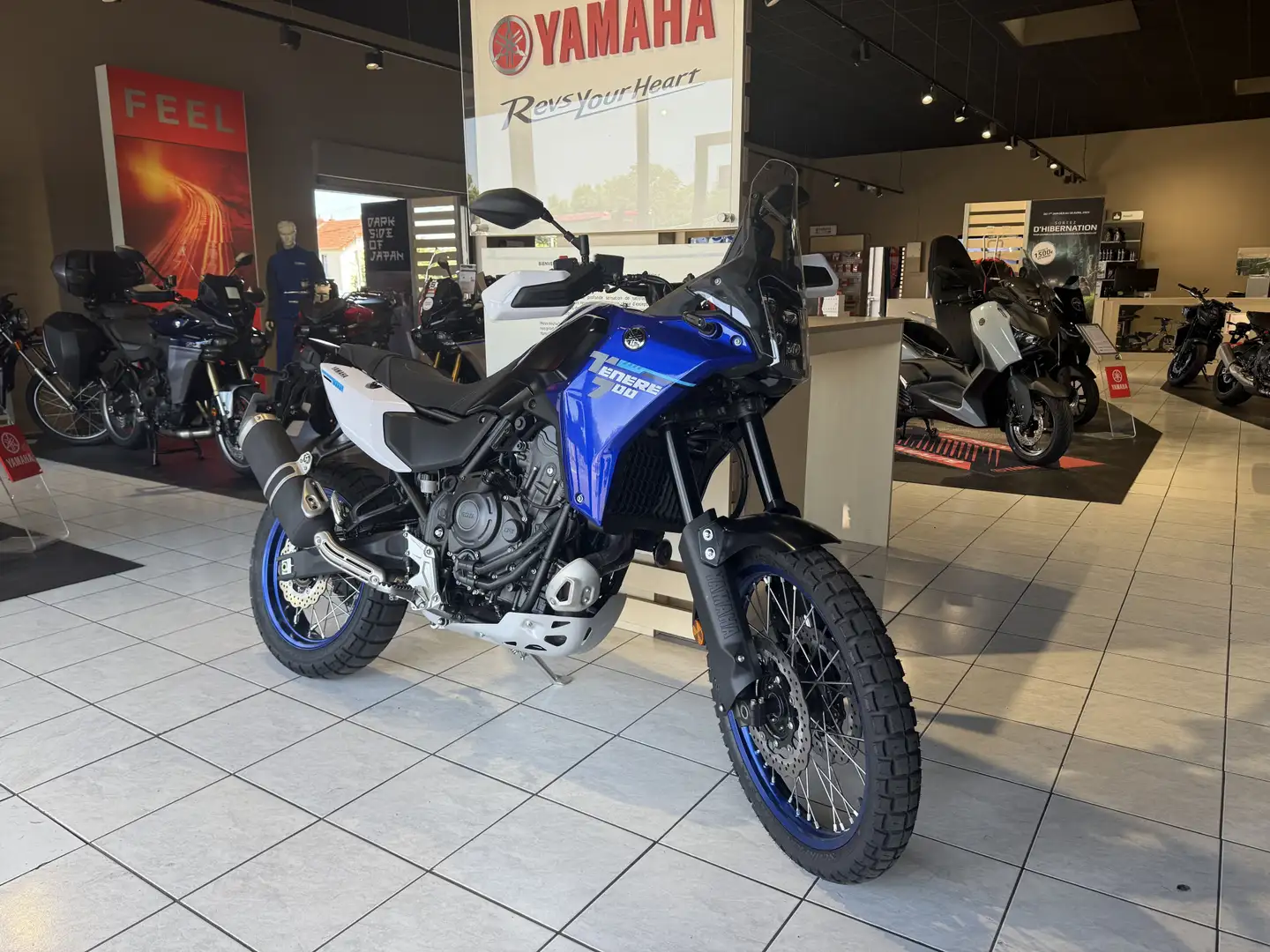 Yamaha Ténéré 700 Bleu - 2