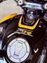 MV Agusta Dragster RR SCS - Neuve - Reprise possible Amarillo - thumbnail 6