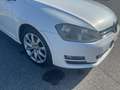 Volkswagen Golf 7 Golf 5p 1.6 tdi Highline Business Bianco - thumbnail 10