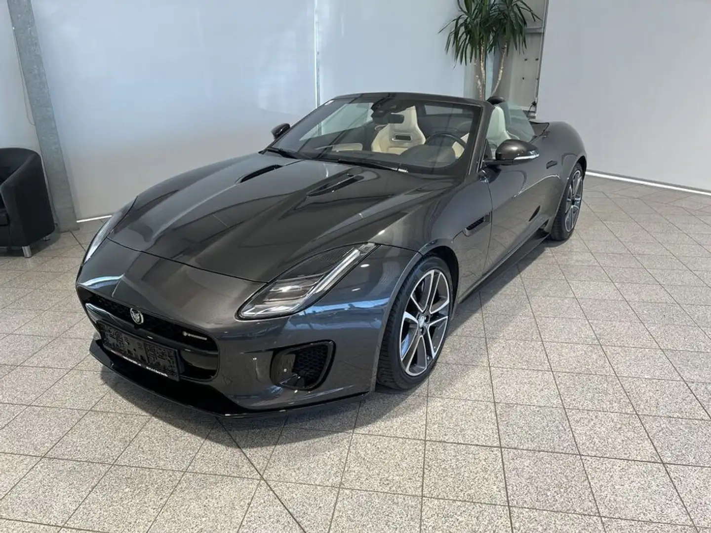 Jaguar F-Type 2,0 Turbo R-Dynamic Grau - 2