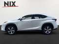 Lexus NX 300h 2.5 Hybrid E-Four Luxury Line LED Weiß - thumbnail 6