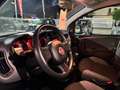 Fiat Panda Panda 1.0 FireFly S&S Hybrid, PRONTA CONSEGNA ! ! Blanco - thumbnail 11