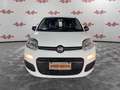 Fiat Panda Panda 1.0 FireFly S&S Hybrid, PRONTA CONSEGNA ! ! Blanco - thumbnail 2