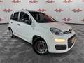 Fiat Panda Panda 1.0 FireFly S&S Hybrid, PRONTA CONSEGNA ! ! Blanco - thumbnail 1