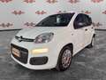 Fiat Panda Panda 1.0 FireFly S&S Hybrid, PRONTA CONSEGNA ! ! Blanco - thumbnail 4