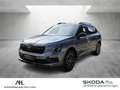 Skoda Kamiq 1.0 TSI Drive DSG LED ACC RFK Optik schwarz Grau - thumbnail 1