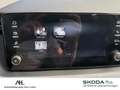 Skoda Kamiq 1.0 TSI Drive DSG LED ACC RFK Optik schwarz Grau - thumbnail 21