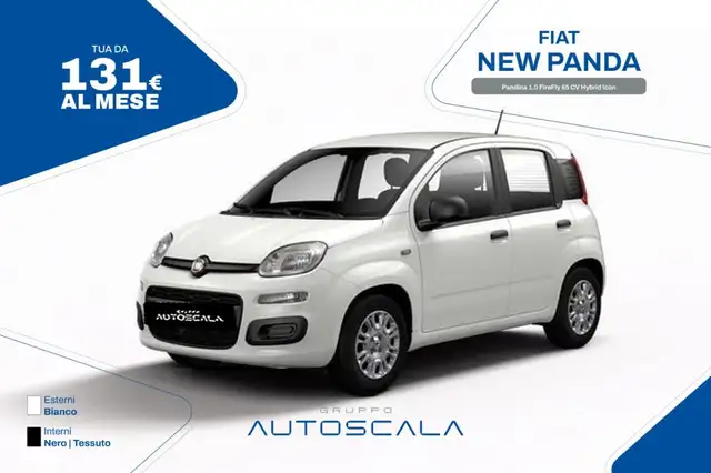 Fiat New Panda Pandina 1.0 FireFly 65 CV Hybrid Icon