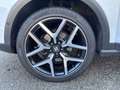 SEAT Arona FR, DSG, Kamera, Acc, .... Weiß - thumbnail 31