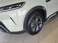 BYD ATTO 2 Boost Grün - thumbnail 3