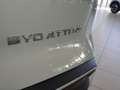 BYD ATTO 2 Boost Vert - thumbnail 12
