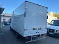 Iveco Daily Chasis Cabina 35C14 3000 136 Blanco - thumbnail 3