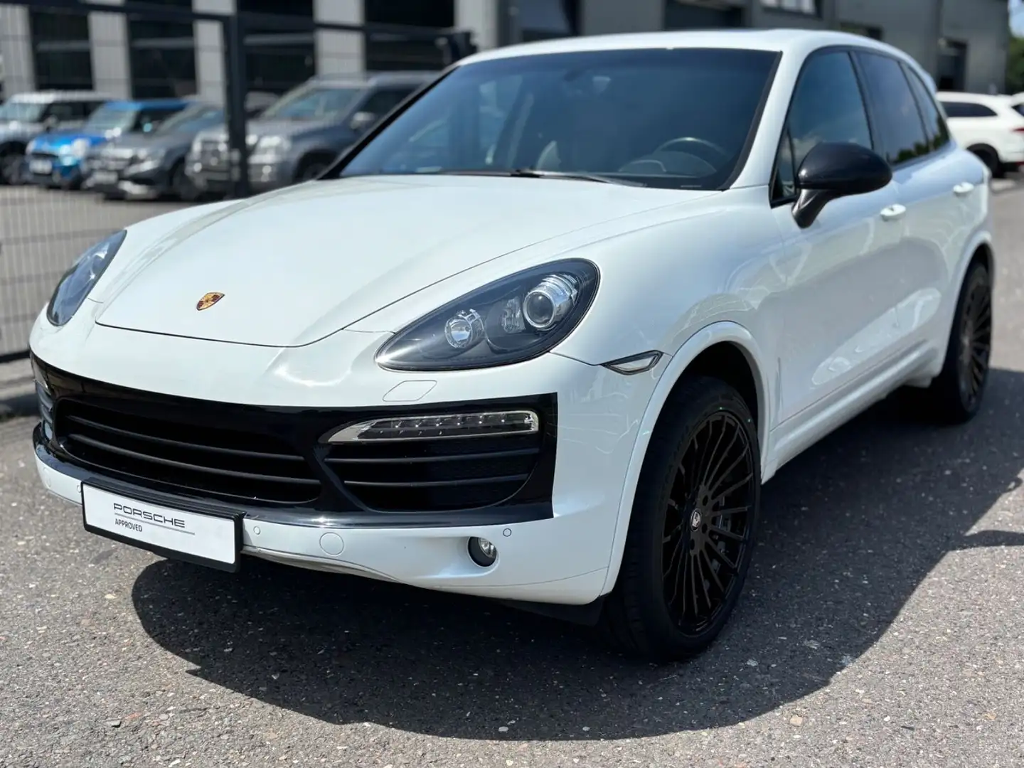 Porsche Cayenne 3.6 V6 Sport Navi/Panorama/BOSE/Bi-Xenon Wit - 1