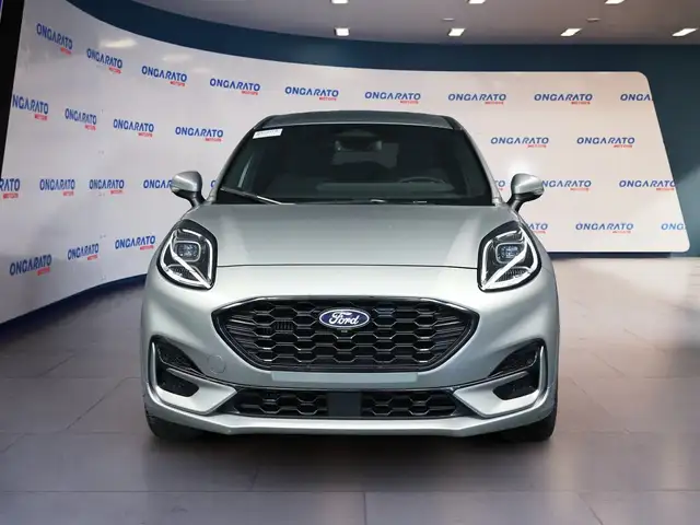 Ford Puma view 2