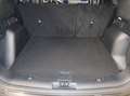 Ford Kuga full hybrid ST-Line 2wd Automatica Grigio - thumbnail 14