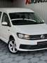 Volkswagen Caddy Maxi DSG 7Sitzer AHK Tempo StdHeiz Alu Weiß - thumbnail 10