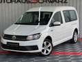 Volkswagen Caddy Maxi DSG 7Sitzer AHK Tempo StdHeiz Alu Weiß - thumbnail 3