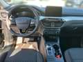 Ford Kuga Plug-In Hybrid Cool & Connect +1.HAND+WINTERPAKET+ Grau - thumbnail 10