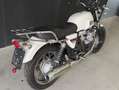Moto Guzzi V 7 STONE - SOLO EXPORT Bianco - thumbnail 3